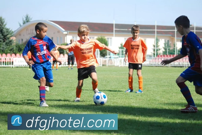 巅峰国际品牌故事