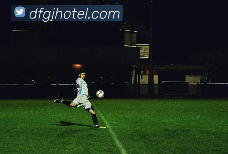 巅峰国际服务体系