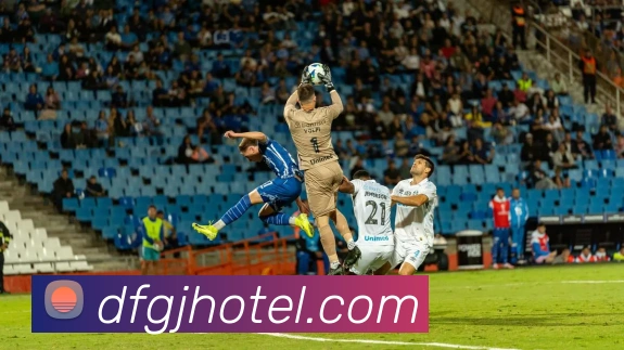 巅峰国际APP 体育赛事宣传图